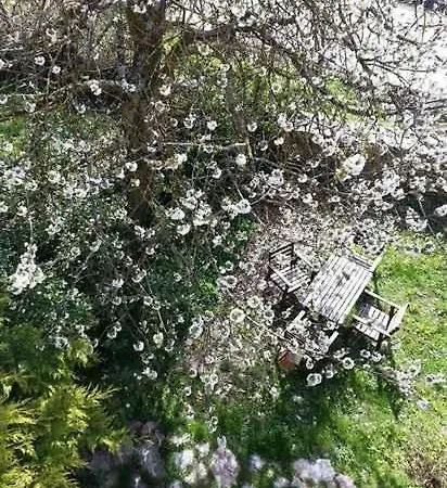 El Cajigal De Quintana