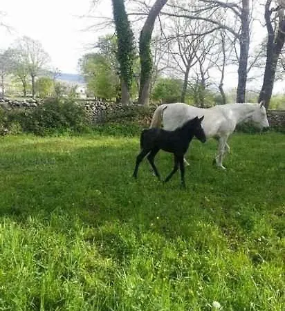 El Cajigal De Quintana Country house *