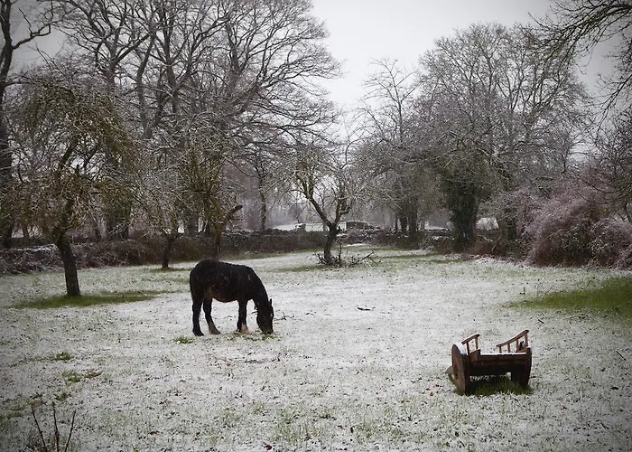 컨트리하우스 El Cajigal De Quintana Espinosa de los Monteros
