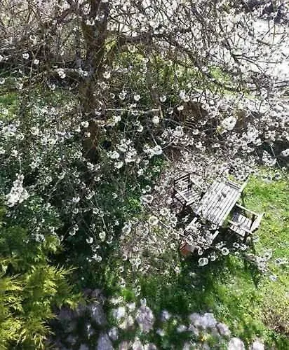 El Cajigal De Quintana