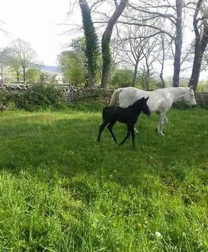 El Cajigal De Quintana 컨트리하우스 *